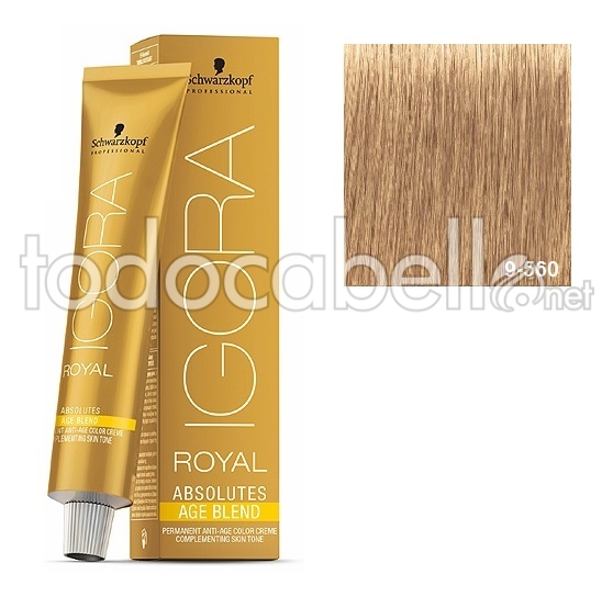 Schwarzkopf Tinte Igora Abolutes Age Blend 9 560 60ml