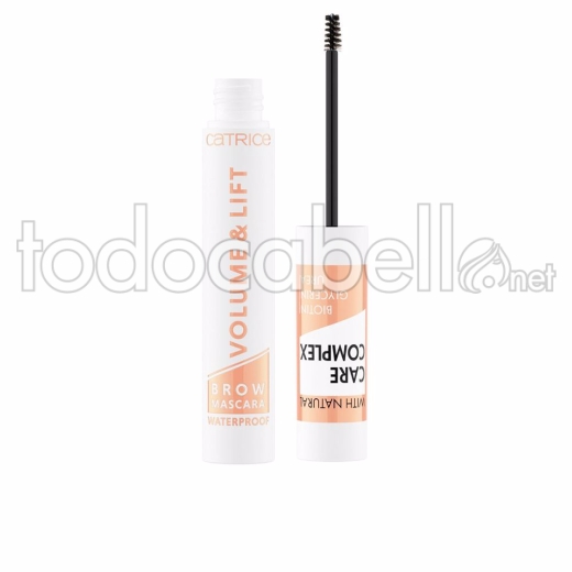 Catrice Volume & Lift Brow Mascara Waterproof ref 010-transparent