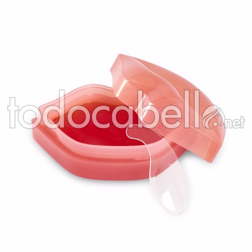 Idc Institute Hydrogel Lip Mask 22 Uds