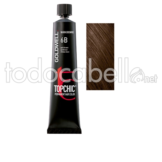 Goldwell Topchic Permanent Hair Color #6b 60 Ml