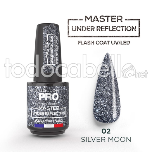 Mollon Pro Master Under Reflection Color 02 Silver Moon 12ml