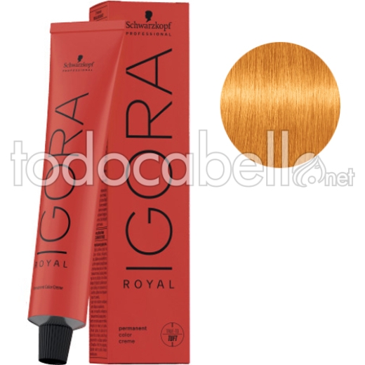 Tinte Igora Royal  Tono Mezcla Dorado