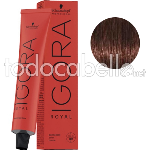 Schwarzkopf Tinte Igora Royal Castaño Medio Marrón Rojo