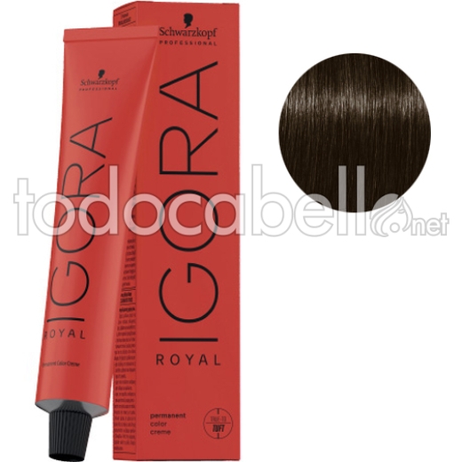 Schwarzkopf Tinte Igora Royal 5-16 Castaño Claro Ceniza Chocolate 60ml + Oxigenada en promoción