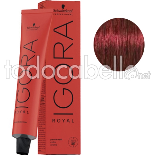 Schwarzkopf Tinte Igora Royal Castaño Claro Rojo Intenso