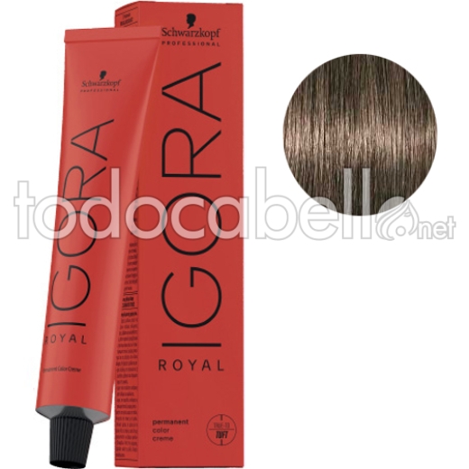 Schwarzkopf Tinte Igora Royal Rubio Oscuro Ceniza