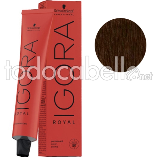 Schwarzkopf Tinte Igora Royal 6-16 Rubio Oscuro Ceniza Chocolate 60g  + Oxigenada en promoción