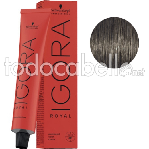 Schwarzkopf Tinte Igora Royal 6-31 Rubio Oscuro Mate Ceniza 60g + Oxigenada en promoción