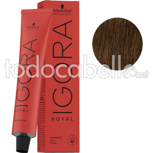 Schwarzkopf Tinte Igora Royal 6-46 Rubio Oscuro Beige Chocolate 60ml + oxigenada en promoción