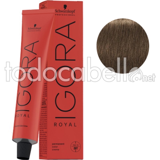 Schwarzkopf Tinte Igora Royal Rubio Medio Intenso