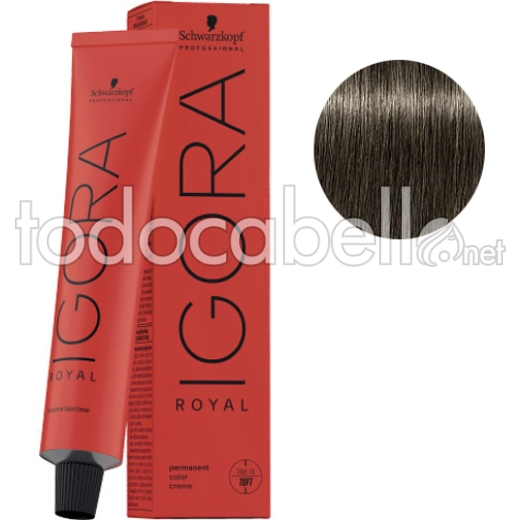 Schwarzkopf Tinte Igora Royal Rubio Medio Ceniza