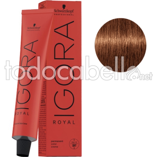 Schwarzkopf Tinte Igora Royal 7-76 Rubio Medio Cobrizo Marrón 60g + Oxigenada en promoción