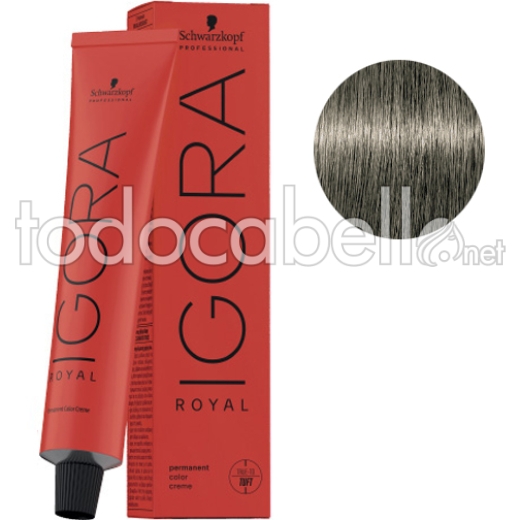 Schwarzkopf Tinte Igora Royal Rubio Claro Ceniza