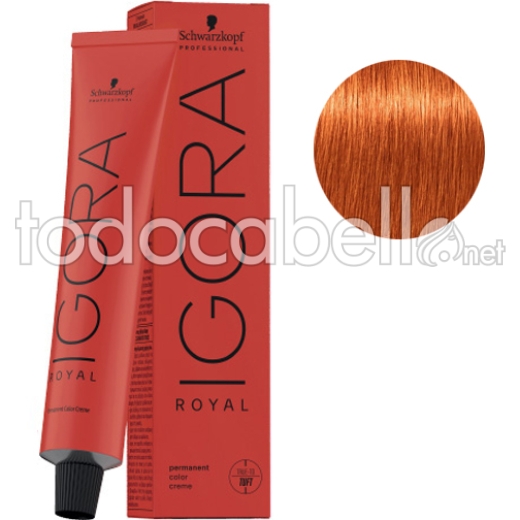 Schwarzkopf Tinte Igora Royal Rubio Claro Cobrizo Intenso