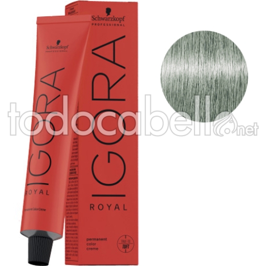 Schwarzkopf Tinte Igora Royal 9,5-31 Matizador Pastel Menta 60g + Oxigenada en promoción