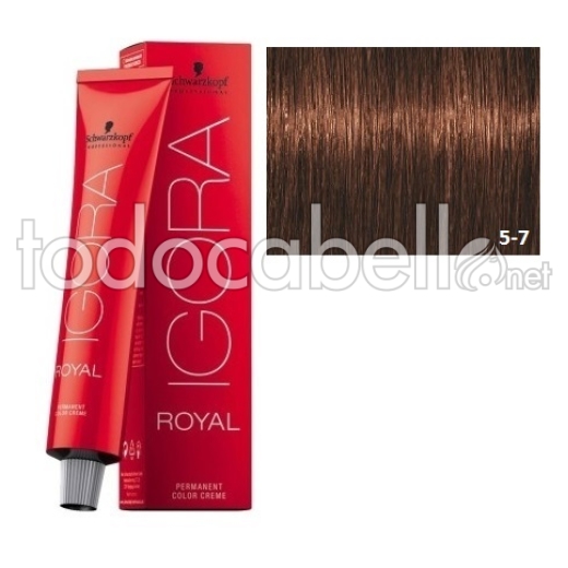 Schwarzkopf Tinte Igora Royal Castaño Claro Cobrizo 5-7