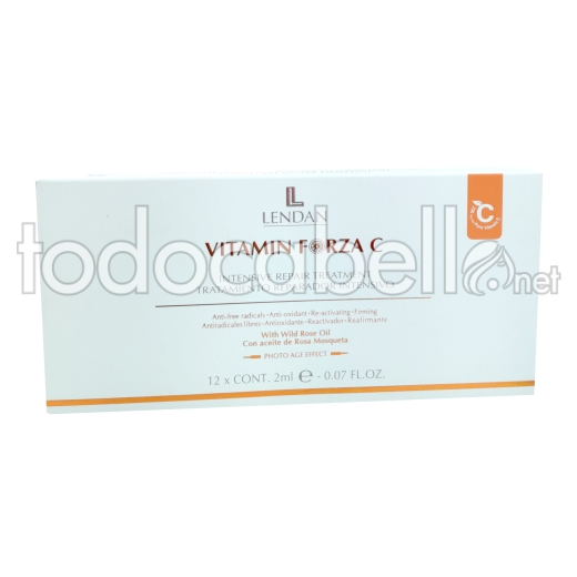 Lendan Tratamiento Reparador Intensivo  Vitamina C 12x2ml