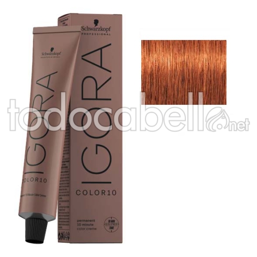 Schwarzkopf Tinte Igora COLOR10 Rubio Medio Cobrizo