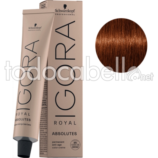 Schwarzkopf Tinte Igora Royal Absolutes Rubio Oscuro Cobrizo Natural