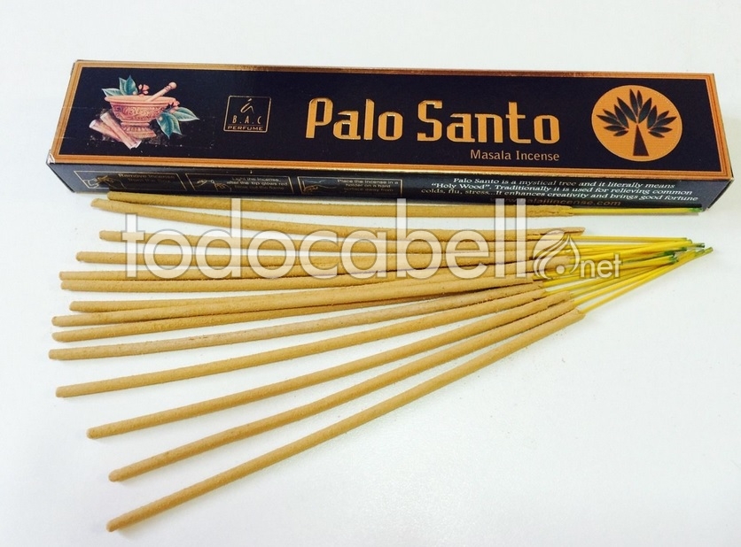 Incienso Palo Santo Premium Masala de HEM Una caja 15 g -  España