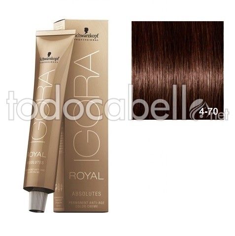 Schwarzkopf Tinte Igora Royal Absolutes 4-70 Castaño Medio 