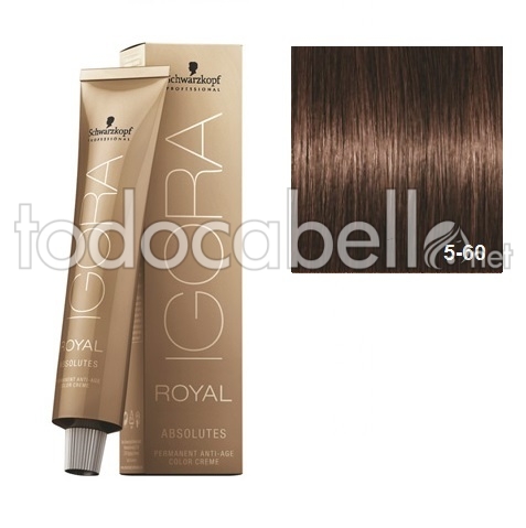 Schwarzkopf Tinte Igora Royal Absolutes Castaño Claro 