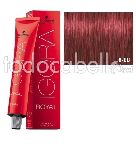 Schwarzkopf Tinte Igora Royal Rubio Oscuro Rojo Intenso 6-88