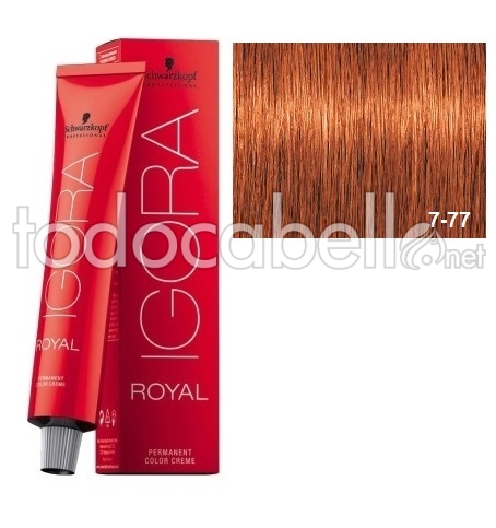 Schwarzkopf Tinte Igora Royal Rubio Medio Cobrizo Intenso 7-77